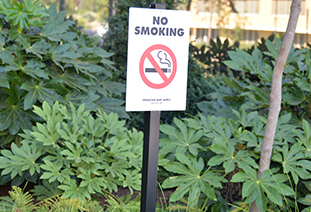 Smoke Free